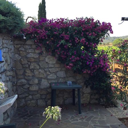 Studio-Appartment In Landhaus Mit Meerblick Porto Azzurro Dış mekan fotoğraf