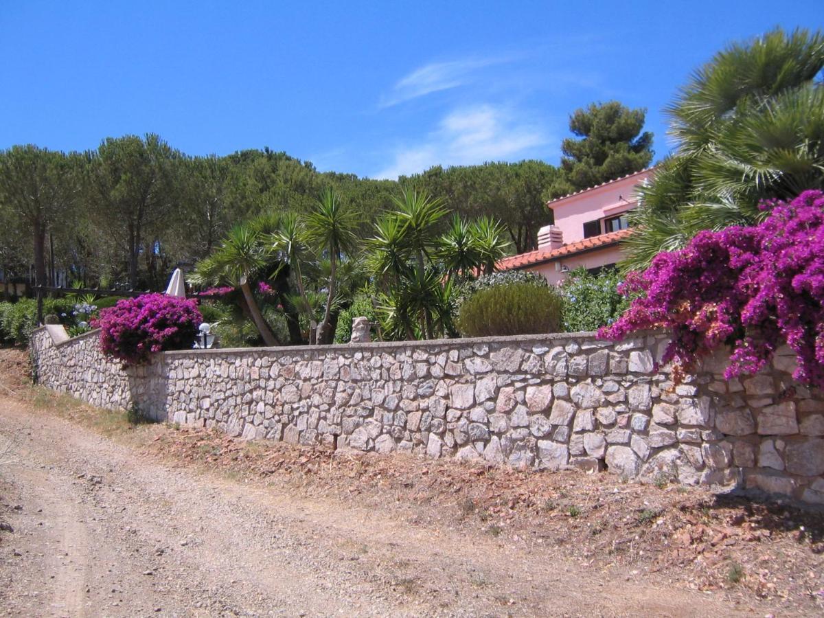 Studio-Appartment In Landhaus Mit Meerblick Porto Azzurro Dış mekan fotoğraf