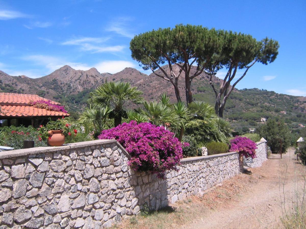 Studio-Appartment In Landhaus Mit Meerblick Porto Azzurro Dış mekan fotoğraf