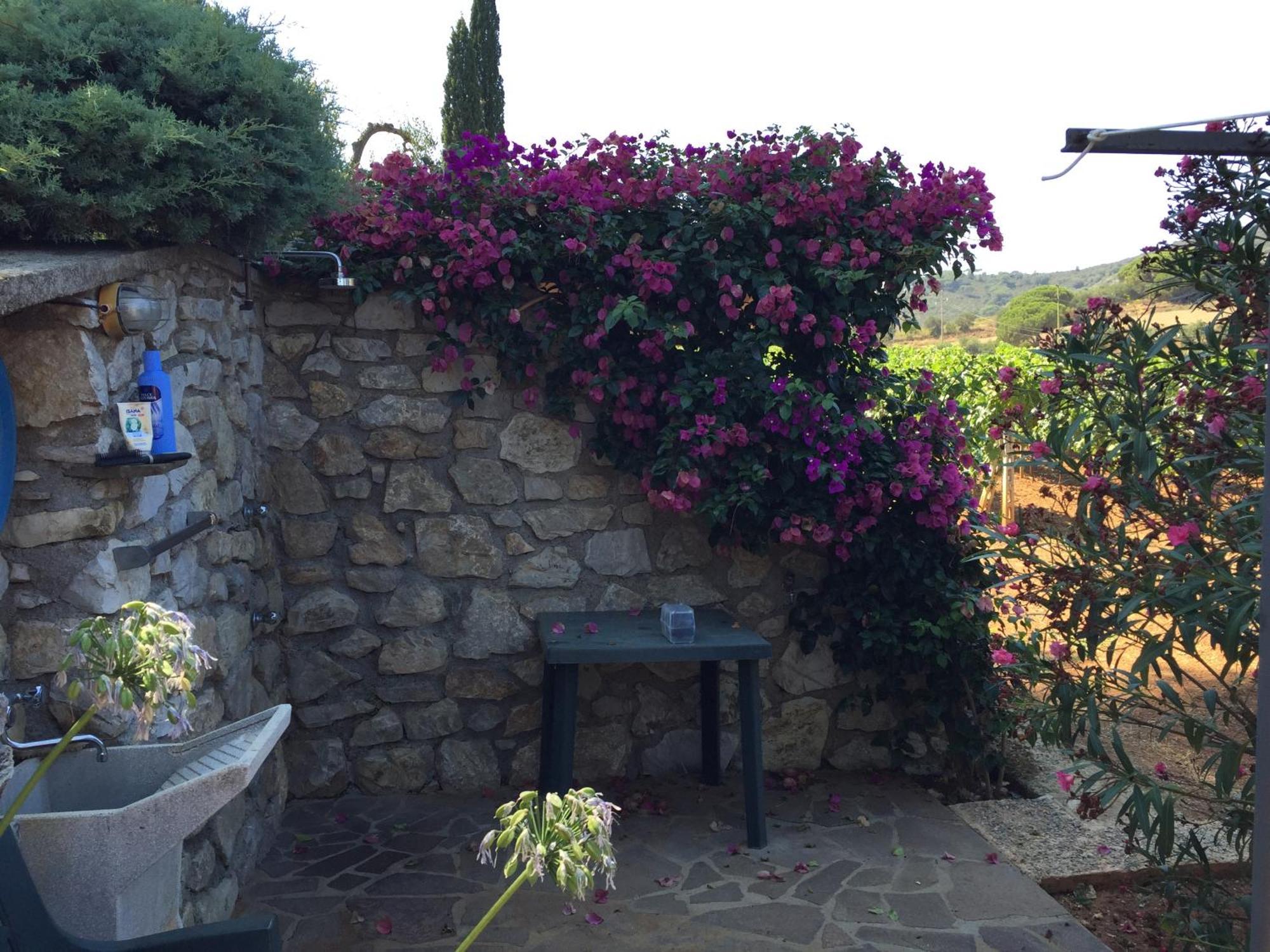Studio-Appartment In Landhaus Mit Meerblick Porto Azzurro Dış mekan fotoğraf