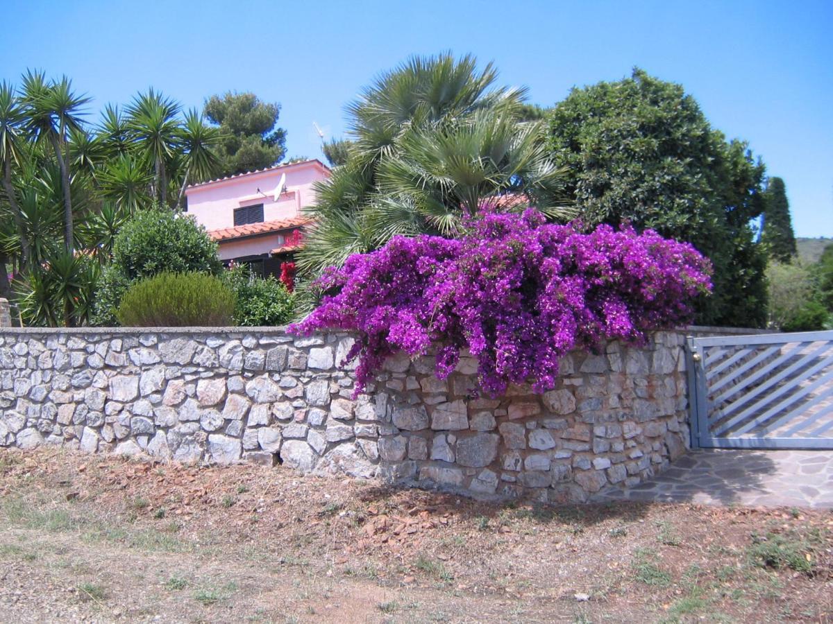 Studio-Appartment In Landhaus Mit Meerblick Porto Azzurro Dış mekan fotoğraf