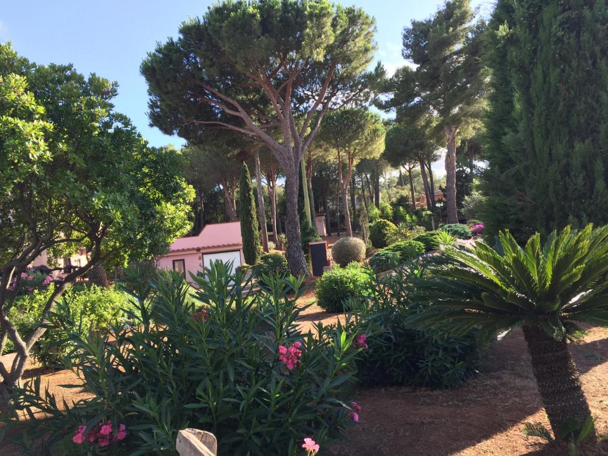 Studio-Appartment In Landhaus Mit Meerblick Porto Azzurro Dış mekan fotoğraf